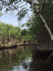 Screen Shot 2016-01-21 at 8.32.42 AM