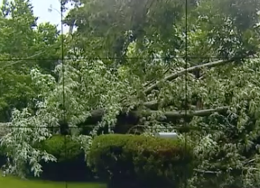 Screen Shot 2017-06-01 at 7.18.16 AM