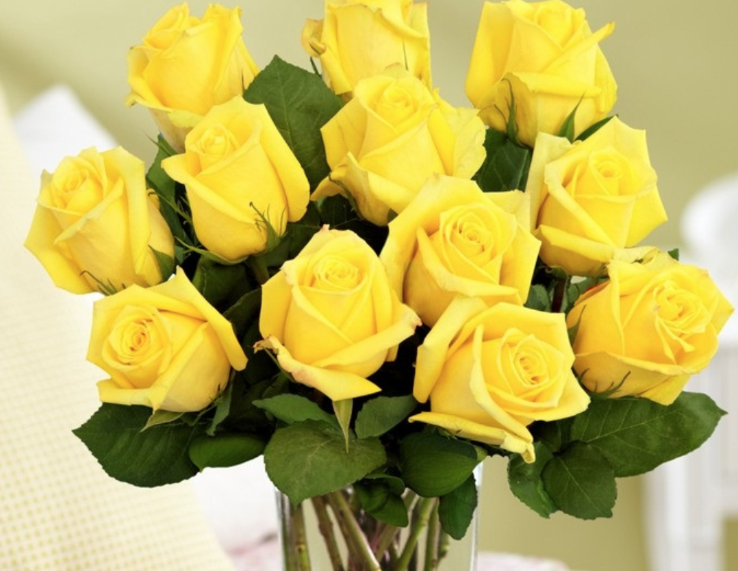 Screen Shot 2018-02-15 at 7.54.23 AM