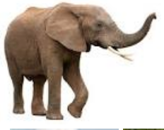 Screen Shot 2018-06-07 at 7.57.44 AM